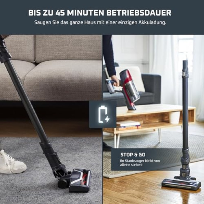 Rowenta X-PERT 6.60 Aspirapolvere Senza Fili Potente con Kit Animal Care, Scopa Elettrica Senza Fili Ricaricabile Leggera, Aspirapolvere Senza Sacco Multisuperficie, Autonomia 45 Min, Luci LED,RH6878