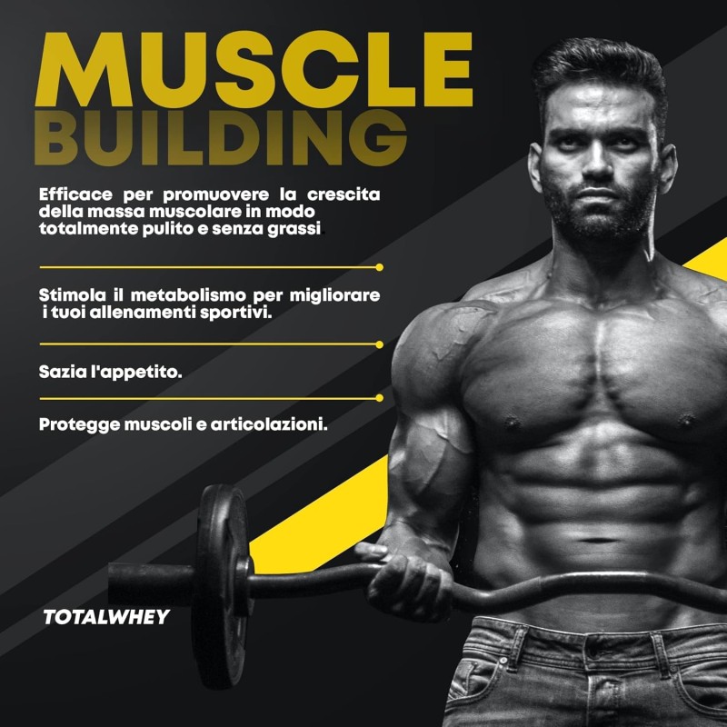 Healthy FUSION Proteine di Assimilazione Rapida del Siero di Latte con Collagene e Magnesio, Aumenta la massa e il recupero muscolare, Migliora l'allenamento sportivo, 1000g (Cioccolato) Healthy FUSION Proteine di Assimilazione Rapida del Siero di Latte con Collagene e Magnesio, Aumenta la massa e il recupero muscolare, Migliora l'allenamento sportivo, 1000g (Cioccolato)