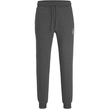JACK & JONES Sweatpants Regular Fit Sweatpants - S Grigio Scuro Mélange