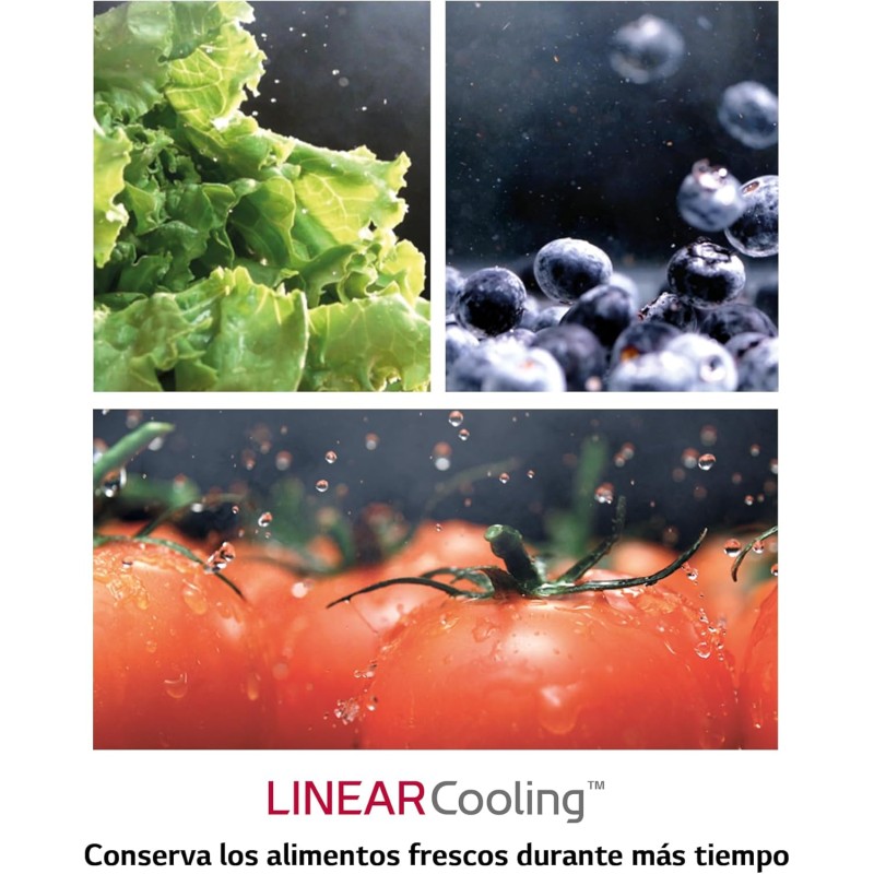 LG GSLV70PZTD Frigorifero Americano Side-by-Side, Total No Frost, 635L, Classe D, Wi-Fi, Frigorifero con Dispenser Acqua e Ghiaccio con Allaccio, Door & Linear Cooling, Platinum Silver - 635 L Grey