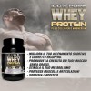 Healthy Fusion Whey Protein, Proteine del siero del latte pure con collagene e magnesio, Migliora i tuoi allenamenti, Proteggi e aumenta la massa muscolare, 1000 g di proteine (gusto biscotto) Healthy Fusion Whey Protein, Proteine del siero del latte pure con collagene e magnesio, Migliora i tuoi allenamenti, Proteggi e aumenta la massa muscolare, 1000 g di proteine (gusto biscotto)