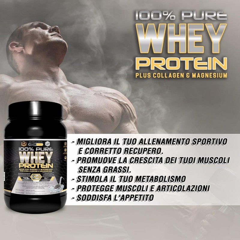 Healthy Fusion Whey Protein, Proteine del siero del latte pure con collagene e magnesio, Migliora i tuoi allenamenti, Proteggi e aumenta la massa muscolare, 1000 g di proteine (gusto biscotto) Healthy Fusion Whey Protein, Proteine del siero del latte pure con collagene e magnesio, Migliora i tuoi allenamenti, Proteggi e aumenta la massa muscolare, 1000 g di proteine (gusto biscotto)
