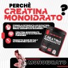 T-Rex Integratori Creatina Monoidrata - Integratore alimentare per massa muscolare e boost energetico pre workout (Polvere, 250 g (Confezione da 1)) - 250 g (Confezione da 1) T-Rex Integratori Creatina Monoidrata - Integratore alimentare per massa muscolare e boost energetico pre workout (Polvere, 250 g (Confezione da 1)) - 250 g (Confezione da 1)