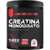T-Rex Integratori Creatina Monoidrata - Integratore alimentare per massa muscolare e boost energetico pre workout (Polvere, 250 g (Confezione da 1)) - 250 g (Confezione da 1) T-Rex Integratori Creatina Monoidrata - Integratore alimentare per massa muscolare e boost energetico pre workout (Polvere, 250 g (Confezione da 1)) - 250 g (Confezione da 1)