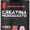 T-Rex Integratori Creatina Monoidrata - Integratore alimentare per massa muscolare e boost energetico pre workout (Polvere, 250 g (Confezione da 1)) - 250 g (Confezione da 1)
