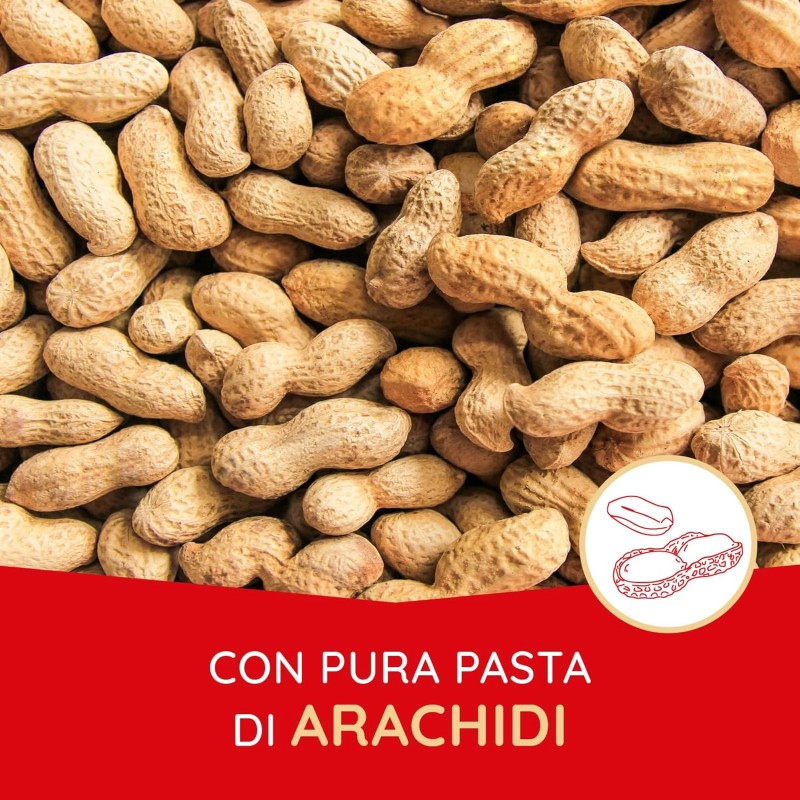 Loacker Classic Peanut Butter, Fragranti Cialde di Wafer con Deliziosa Crema al Burro d'Arachidi, Merenda e Snack, Confezione da 175g - 1 Unità (Confezione da 175g) Loacker Classic Peanut Butter, Fragranti Cialde di Wafer con Deliziosa Crema al Burro d'Arachidi, Merenda e Snack, Confezione da 175g - 1 Unità (Confezione da 175g)