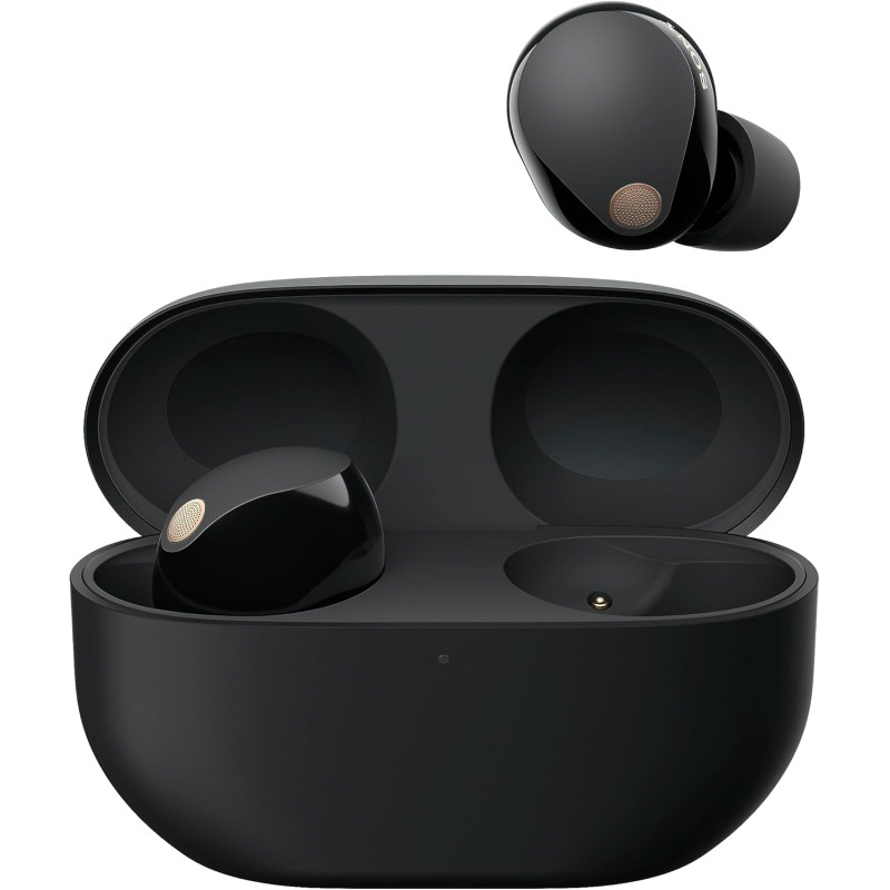Sony WF-1000XM5 Cuffie Wireless con Noise Cancelling, Bluetooth, Cuffie In-Ear con Microfono, Fino a 24 ore di durata della batteria e Ricarica Rapida, IPX4, Funziona con iOS e Android -Nero - Nero