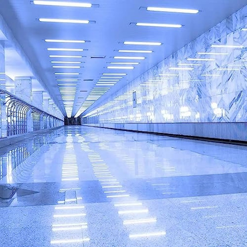 V-TAC Plafoniera LED Lineare da Soffitto 30 CM - 10W - Chip Samsung - Lampada Rettangolare 1200 Lumen - IP20 per Parete, Garage, Negozio - Tubo LED - Luce 3000k Bianca Calda - 30 CM