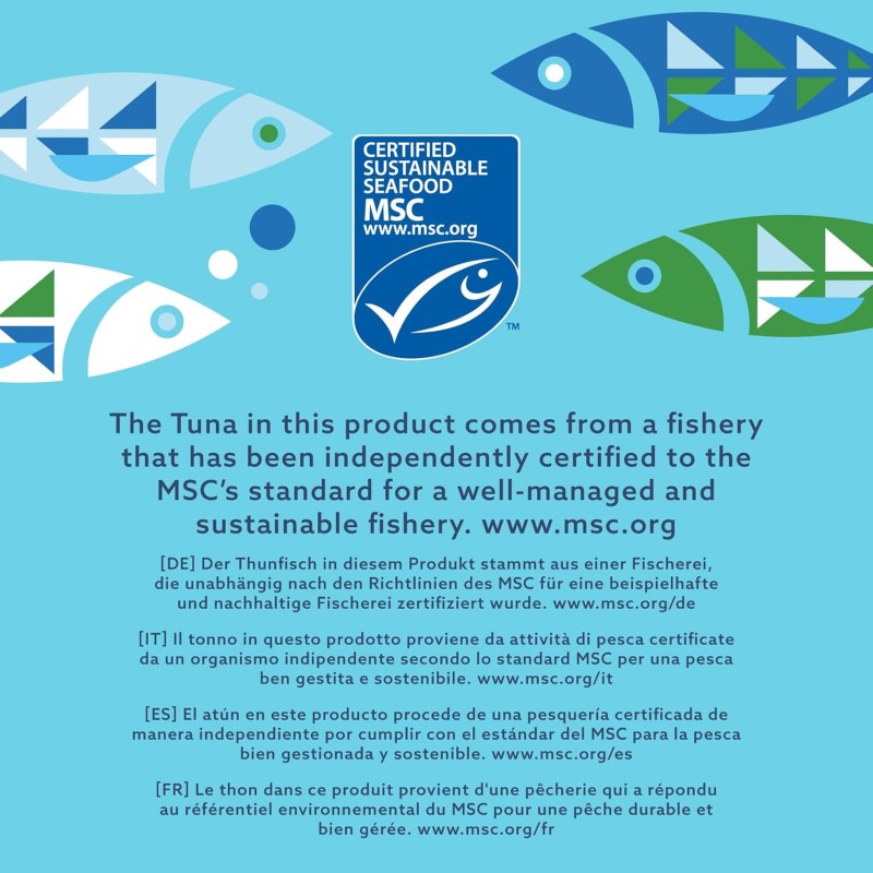 by Amazon MSC Tonno Bianco Intero All'olio D'oliva, 4x160g - 160 g (Confezione da 4)