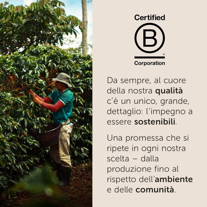 Illy Arabica Selection Brazil Cerrado Mineiro Ground Coffee - 100% Regenerative Agriculture - 1 Jar 250g - 250 g (Confezione da 1) Illy Arabica Selection Brazil Cerrado Mineiro Ground Coffee - 100% Regenerative Agriculture - 1 Jar 250g - 250 g (Confezione da 1)