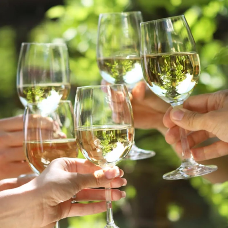 Grand Sud – Vino Bianco Analcolico, Chardonnay Fresco e Morbido (6 x 1 L) Grand Sud – Vino Bianco Analcolico, Chardonnay Fresco e Morbido (6 x 1 L)