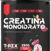 T-Rex Integratori Creatina Monoidrata - Integratore alimentare per massa muscolare e boost energetico pre workout (Thè Alla Pesca, 250 g (Confezione da 1)) - 1 unità (Confezione da 1)