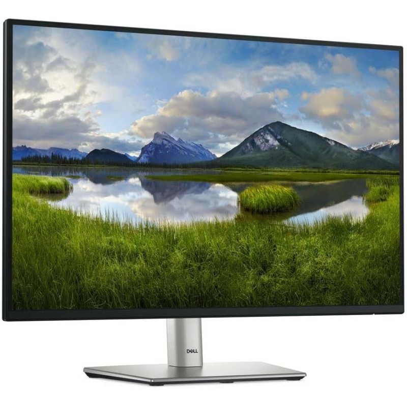 Dell P2425 24" WUXGA 1920x1200 16:10 Monitor, 100Hz, IPS, 5ms, 99% sRGB, USB-C, DisplayPort, HDMI, VGA, 4x USB, 3 Anni di Garanzia, Nero Dell P2425 24" WUXGA 1920x1200 16:10 Monitor, 100Hz, IPS, 5ms, 99% sRGB, USB-C, DisplayPort, HDMI, VGA, 4x USB, 3 Anni di Garanzia, Nero