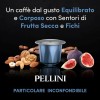Pellini Top Decaffeinato, 100 Capsule in Alluminio Compatibili Nespresso, Miscela di Caffè Arabica e Robusta con Sentori di Frutta Secca e Fichi, 10 Confezioni da 10 Capsule Pellini Top Decaffeinato, 100 Capsule in Alluminio Compatibili Nespresso, Miscela di Caffè Arabica e Robusta con Sentori di Frutta Secca e Fichi, 10 Confezioni da 10 Capsule