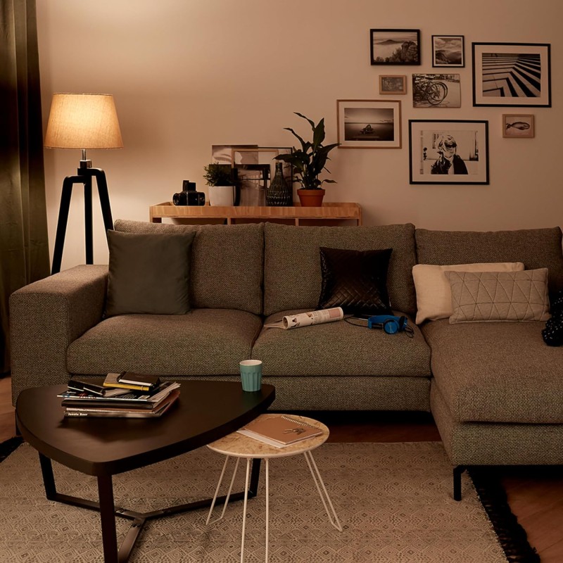 Philips LED Classic E27 confezione da 6 lampade (100 W), lampade LED opache con luce bianca calda, lampade a risparmio energetico con lunga durata