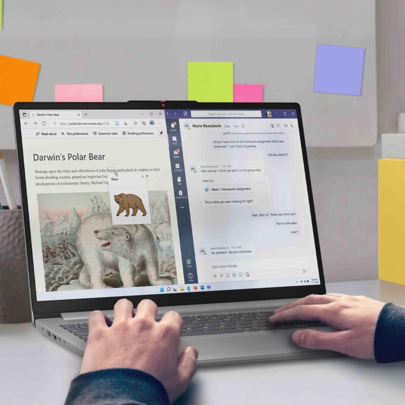 Lenovo IdeaPad Slim 3 Notebook 15,6” FHD (1920x1080), AMD Ryzen 3 7320U, RAM 8GB, 256GB SSD M.2, Grafica Integrata AMD Radeon 610M, WiFi 6, Windows 11 - Arctic Grey - RAM 8GB | 256GB SSD | Grey Lenovo IdeaPad Slim 3 Notebook 15,6” FHD (1920x1080), AMD Ryzen 3 7320U, RAM 8GB, 256GB SSD M.2, Grafica Integrata AMD Radeon 610M, WiFi 6, Windows 11 - Arctic Grey - RAM 8GB | 256GB SSD | Grey