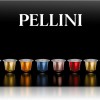Pellini capsule di caffè in alluminio, confezione regalo da 5x10 capsule multigusto