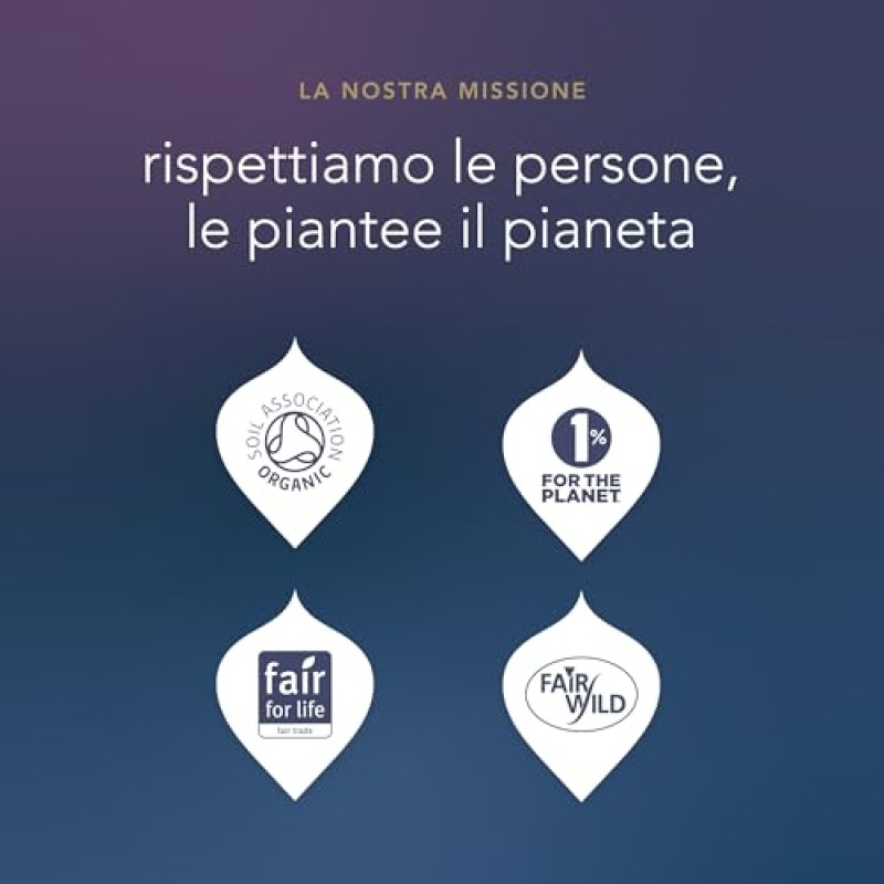 Pukka Tisane Calendario Avvento 2025, Set Regalo Tisane e Infusi, Deliziose Erbe Biologiche, Senza Cioccolato e Lattosio, Per Una Dose Quotidiana Di Benessere e Gusto, Idea Regalo, 24 Bustine Pukka Tisane Calendario Avvento 2025, Set Regalo Tisane e Infusi, Deliziose Erbe Biologiche, Senza Cioccolato e Lattosio, Per Una Dose Quotidiana Di Benessere e Gusto, Idea Regalo, 24 Bustine