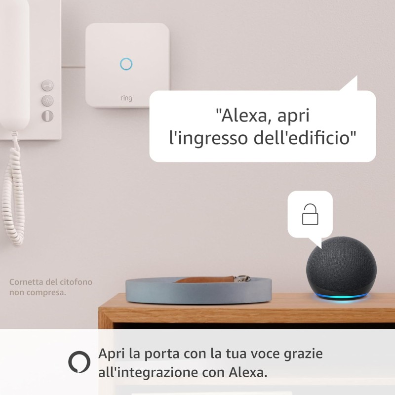 Ring Intercom di Amazon + Nuova Ring videocamera esterna Plus a batteria (Outdoor Camera Plus) | 2K con Ring Vision I Ring Home gratuito per 30 giorni Ring Intercom di Amazon + Nuova Ring videocamera esterna Plus a batteria (Outdoor Camera Plus) | 2K con Ring Vision I Ring Home gratuito per 30 giorni