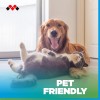 Meliconi FRESH CARE, Detergente Lavapavimenti Naturale ed Ecologico per Robot e Scope Elettriche, Formula Probiotica Anti-Odore per Cani e Gatti, Efficace su Tutte le Superfici Meliconi FRESH CARE, Detergente Lavapavimenti Naturale ed Ecologico per Robot e Scope Elettriche, Formula Probiotica Anti-Odore per Cani e Gatti, Efficace su Tutte le Superfici