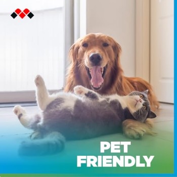 Meliconi FRESH CARE, Detergente Lavapavimenti Naturale ed Ecologico per Robot e Scope Elettriche, Formula Probiotica Anti-Odore per Cani e Gatti, Efficace su Tutte le Superfici Meliconi FRESH CARE, Detergente Lavapavimenti Naturale ed Ecologico per Robot e Scope Elettriche, Formula Probiotica Anti-Odore per Cani e Gatti, Efficace su Tutte le Superfici