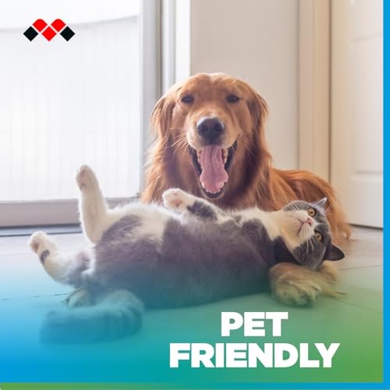 Meliconi FRESH CARE, Detergente Lavapavimenti Naturale ed Ecologico per Robot e Scope Elettriche, Formula Probiotica Anti-Odore per Cani e Gatti, Efficace su Tutte le Superfici Meliconi FRESH CARE, Detergente Lavapavimenti Naturale ed Ecologico per Robot e Scope Elettriche, Formula Probiotica Anti-Odore per Cani e Gatti, Efficace su Tutte le Superfici