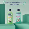 Nuncas Pavimenti Profumati Detergente Pavimenti - Formula Specifica per Robot e Lavapavimenti - Desiderio - Multipack - Confezione da 3 x 500 ml Nuncas Pavimenti Profumati Detergente Pavimenti - Formula Specifica per Robot e Lavapavimenti - Desiderio - Multipack - Confezione da 3 x 500 ml