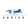 Auriga